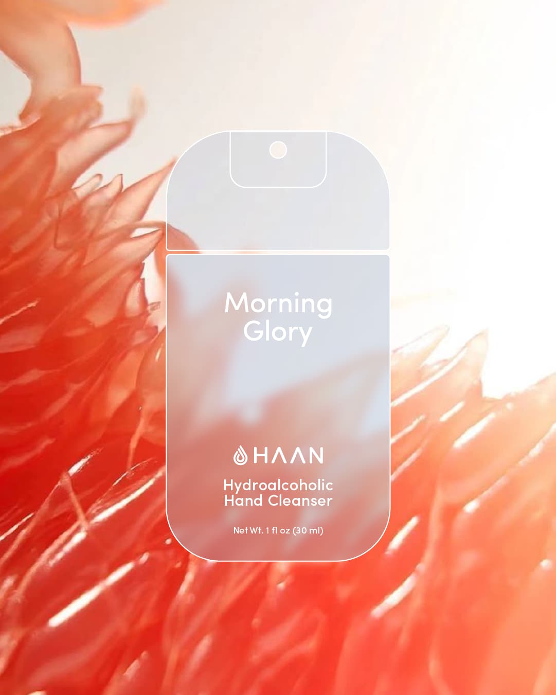 Hand Cleanser Morning Glory