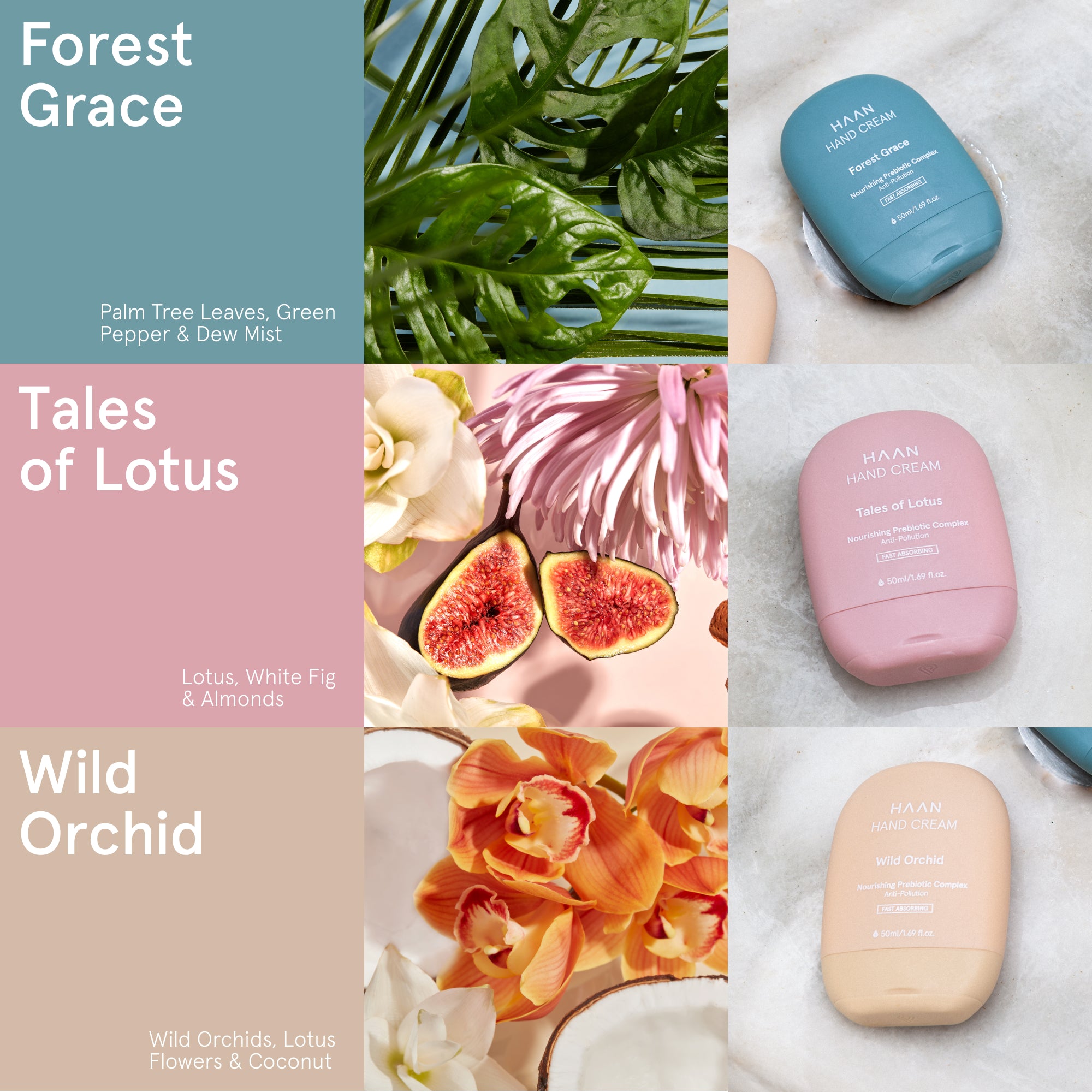 Hand Cream + Refill Tales of Lotus